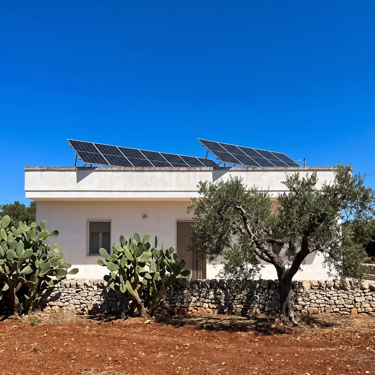 Casa a un piano in Puglia con due file di moduli Trina Vertex S+ su telai inclinati sul tetto piano, tra fichi d'India e ulivi.